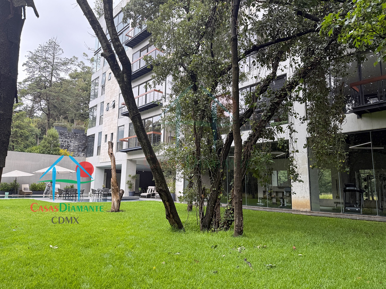 Acanto Ecos del Bosque - Jardines 8 Acanto Ecos del Bosque - Jardines 8